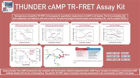 Thunder™ Camp Tr Fret Assay Kit 1000500020000 Assay Points