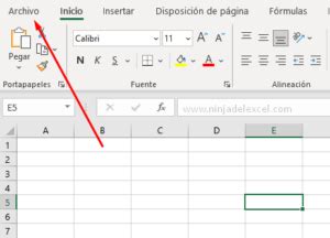 Ocultar Pestañas de la Hoja de cálculo en Excel Ninja del Excel