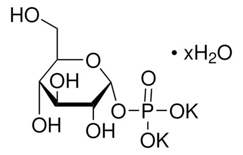 A D Glucose 1 Phosphate Sigma Aldrich