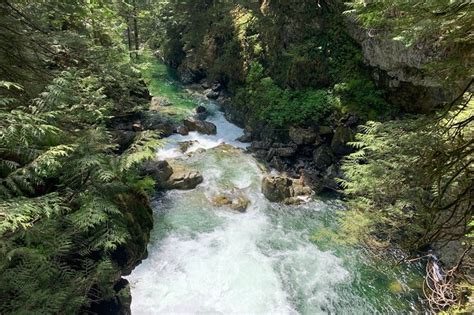 Vancouver Rainforest Hike With Waterfalls Suspension Bridge Old