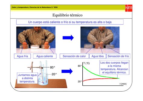 Exemplos De Equilíbrio Térmico