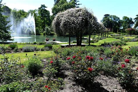 Le Parc floral d Orléans La Source un jardin extraordinaire Orléans