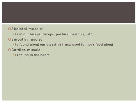 CHAPTER 7 STUDY GUIDE MUSCULAR SYSTEM Anatomy Bowl