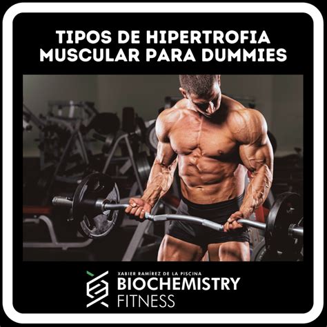 TIPOS DE HIPERTROFIA MUSCULAR PARA DUMMIES Biochemistry Fitness