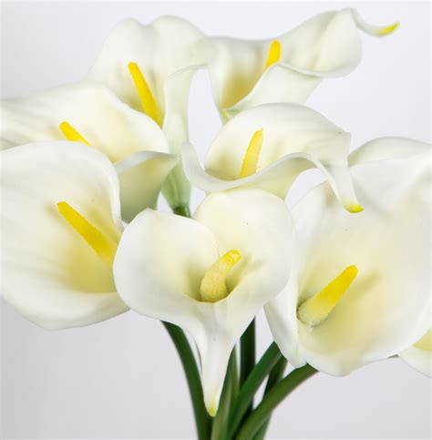 9 Stück Calla Real Touch 34cm weiß DP Kunstblumen künstliche Blumen Kalla