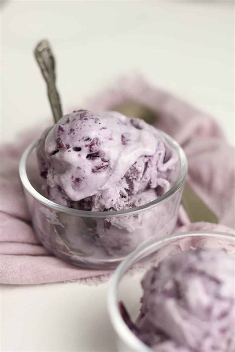 Blueberry Ice Cream Recipe SueBee Homemaker