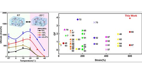 Polyacrylamide Chitosan Based Conductive Double Network Hydrogels With