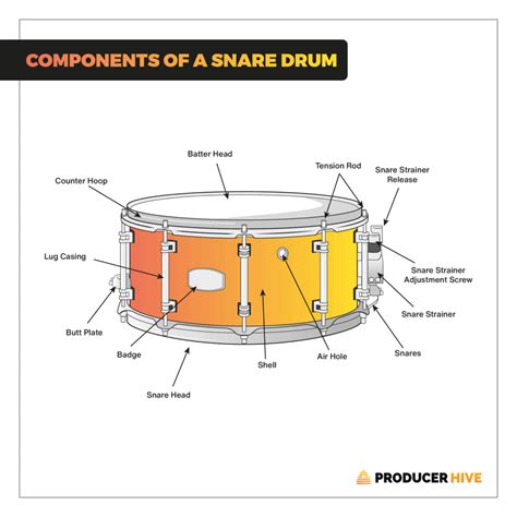 The Ultimate Guide To ALL Types Of Drums & Percussion