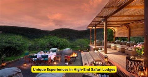 Unique Experiences In High End Safari Lodges A Journey Into Luxury