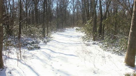 Hiking Mount Davis, Pennsylvania (High Point 10+2/50)