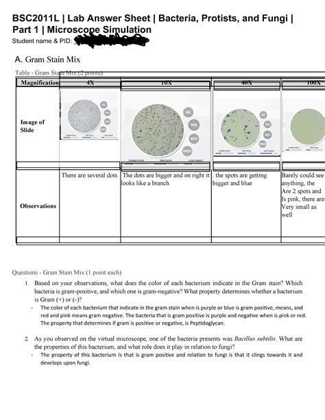 Lab 3 BSC2011L Lab Answer Sheet Bacteria Protists And Fungi