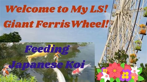 Japan Giant Ferris Wheel And Oasis Park Live Youtube