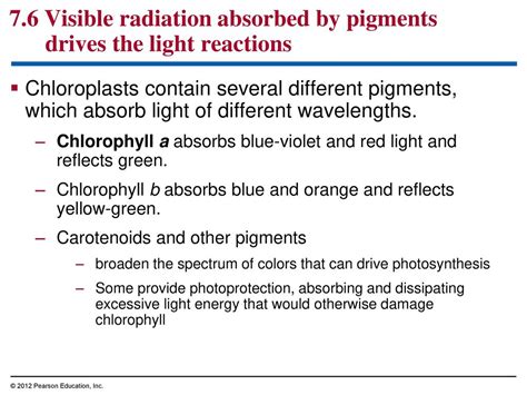 Photosynthesis Using Light To Make Food Ppt Download