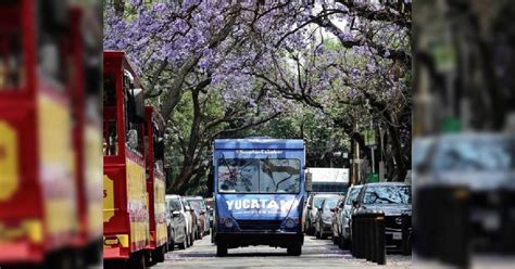 Food Truck De Cochinita Enamora Al Tianguis Turístico 2023