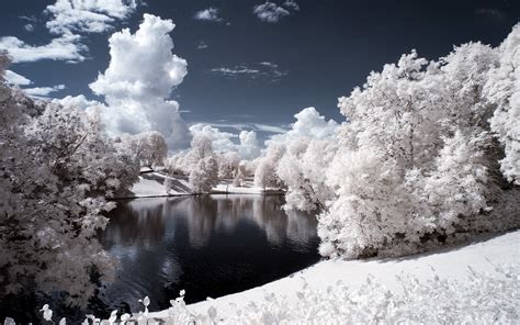 Sunlight Trees Landscape Lake Nature Reflection Snow Winter