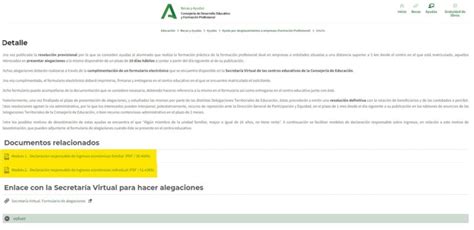 Alegaci N De La Beca C Mo Solicitar Una Revisi N De Tu Caso