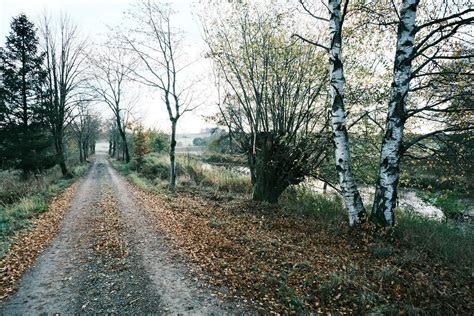 Vogelsberg Im November Bernd K Flickr