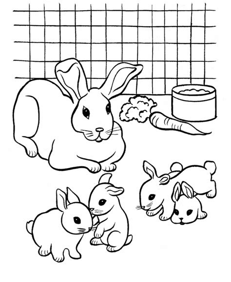 Baby Bunnies Coloring Pages Download And Print For Free