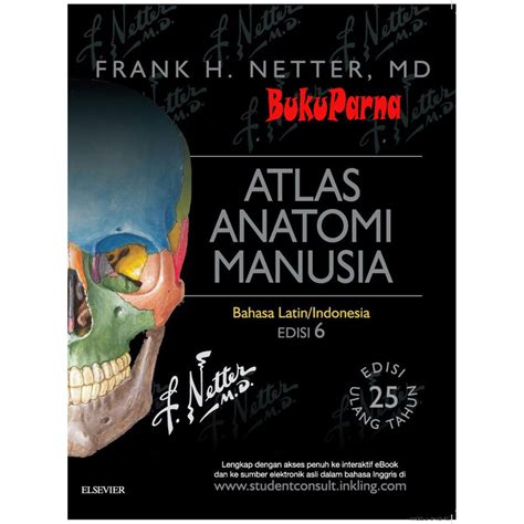 Jual Buku Atlas Anatomi Manusia Edisi 6 Frank H Netter Shopee