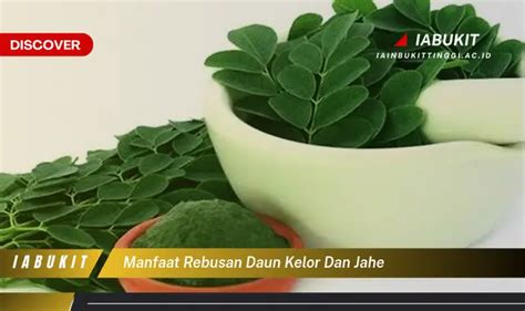 Bikin Penasaran Manfaat Rebusan Daun Kelor Dan Jahe Yang Jarang