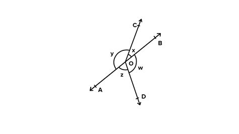 In Fig If X Y W Z Then Prove That AOB Is A Line