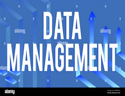 Escritura Mostrando Texto Gesti N De Datosla Pr Ctica De Organizar Y