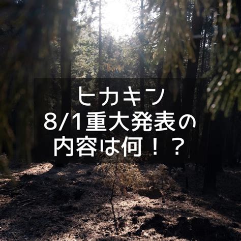 ヒカキン重大発表の内容は何？人生に関わる大切な報告｜予想まとめ メルカリミニマルライフ