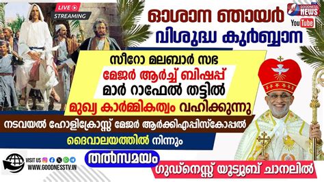 ഓശന ഞയർ വ കർബന 7 AM OSHANA PALM SUNDAY HOLY MASS SYRO MALABAR LIVE