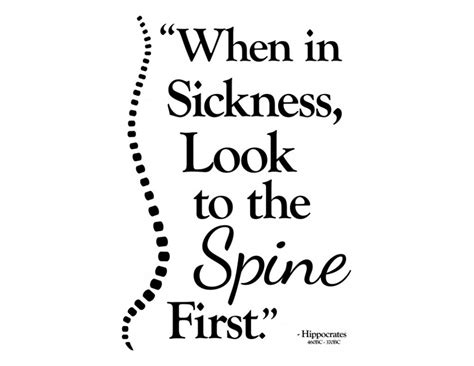 Chiropractic Spine First Decal