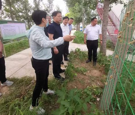 省生態環境廳到淄博市高青縣就黃河流域農村生活污水治理等工作進行調研 每日頭條