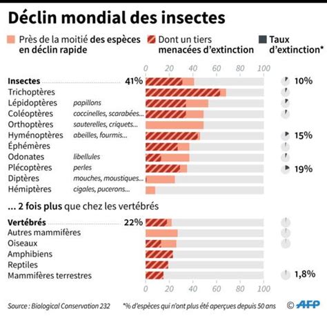 Les insectes un déclin mondial sans précédent Capital fr