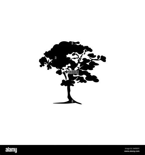 drawing of nature tree vector illustration Stock Vector Image & Art - Alamy