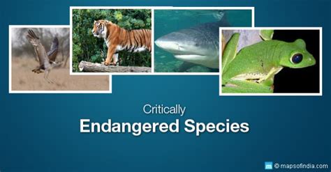 50 ‘critically Endangered Animal Species In India India