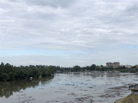 Video Reka Sava Kod Sremske Mitrovice Mutna I Puna Otpada Od Granja I