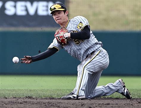 【阪神】中野拓夢の野球脳が生きた二塁ダイビングキャッチ「心配してない」監督も合格点で侍へ プロ野球写真ニュース 日刊スポーツ