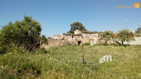 Fincas Y Parcelas Rusticas En Venta En Mor N De La Frontera Sevilla