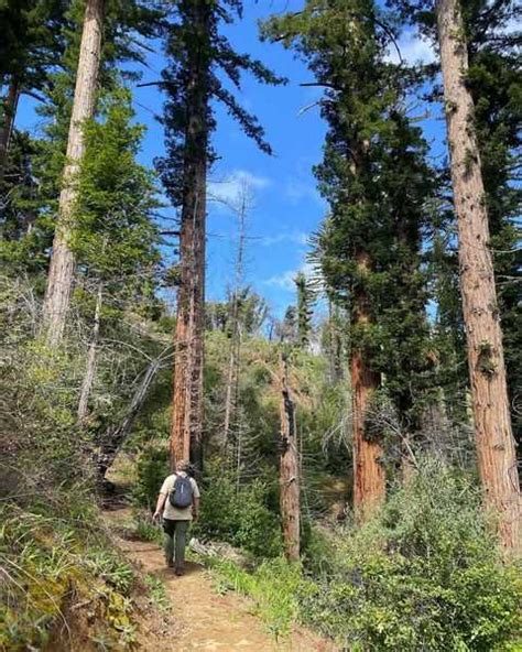 10 Must See Wonders In Pfeiffer Big Sur State Park Parks Guidance