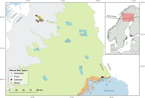 Moose winter diet types per capture location of 264 moose captured... | Download Scientific Diagram