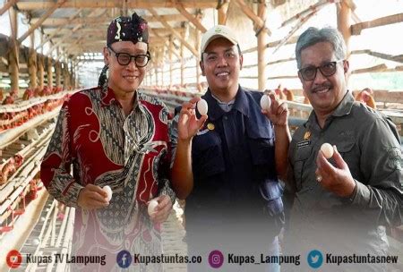 Kupas Tuntas Lihat Ceruk Pasar Petani Milenial Ini Tangkap Peluang