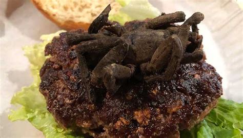 Cabar Diri Makan Burger Tarantula FMT