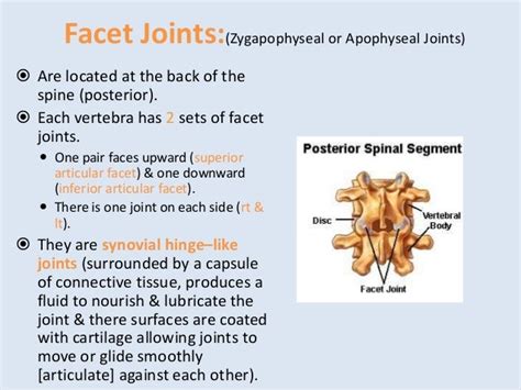 Neck Pain 03