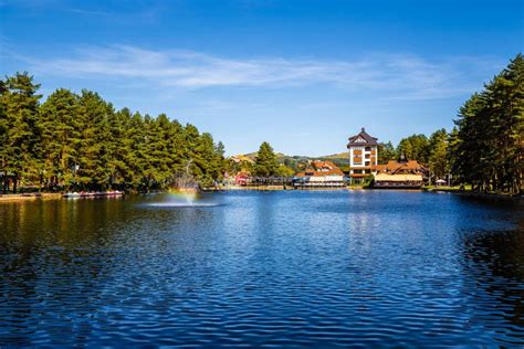 Zlatibor Lake - Zlatibor, Serbia, Europe Stock Photo - Image of green, national: 168316098