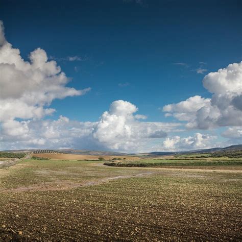 Paisaje natural de la campiña cordobesa Foto Premium