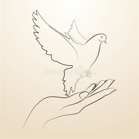 Pigeon Of Peace Stock Vector Illustration Of Religion