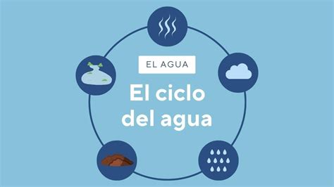 El Ciclo Del Agua Peñaclara Youtube