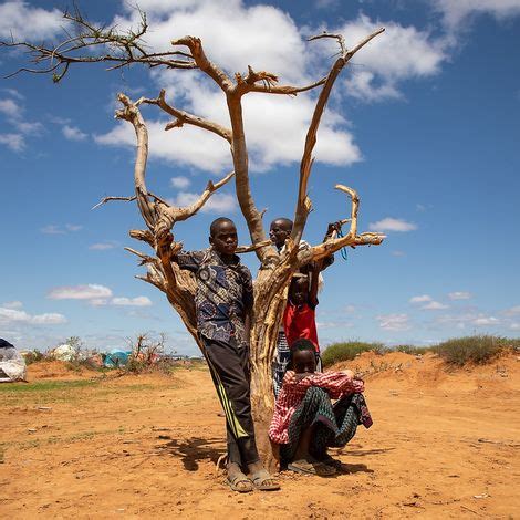 Fotos Millionen Kinder Am Horn Von Afrika Von D Rre Bedroht