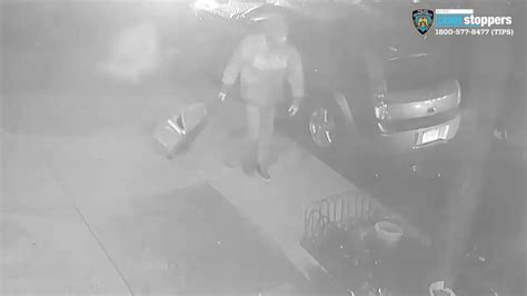 Attacker Brutally Beats 63 Year Old Woman With Suitcase Nypd Nbc New