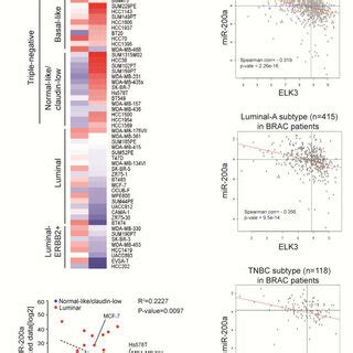 The MiR 200a ELK3 Axis Regulates The Invasion And Migration Of TNBC