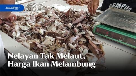 Pacitan Nelayan Tak Melaut Harga Ikan Melambung Youtube