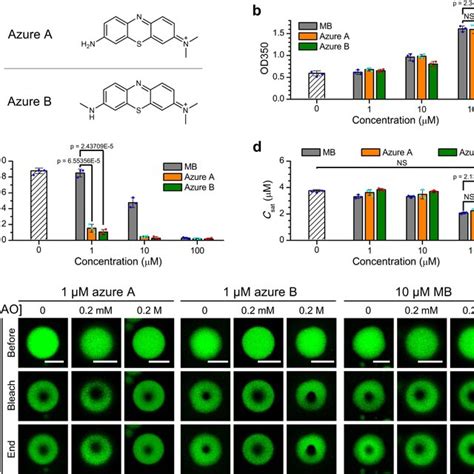 Influence Of Mb Derivatives On Wt Tau Phase Separation A Structures Of